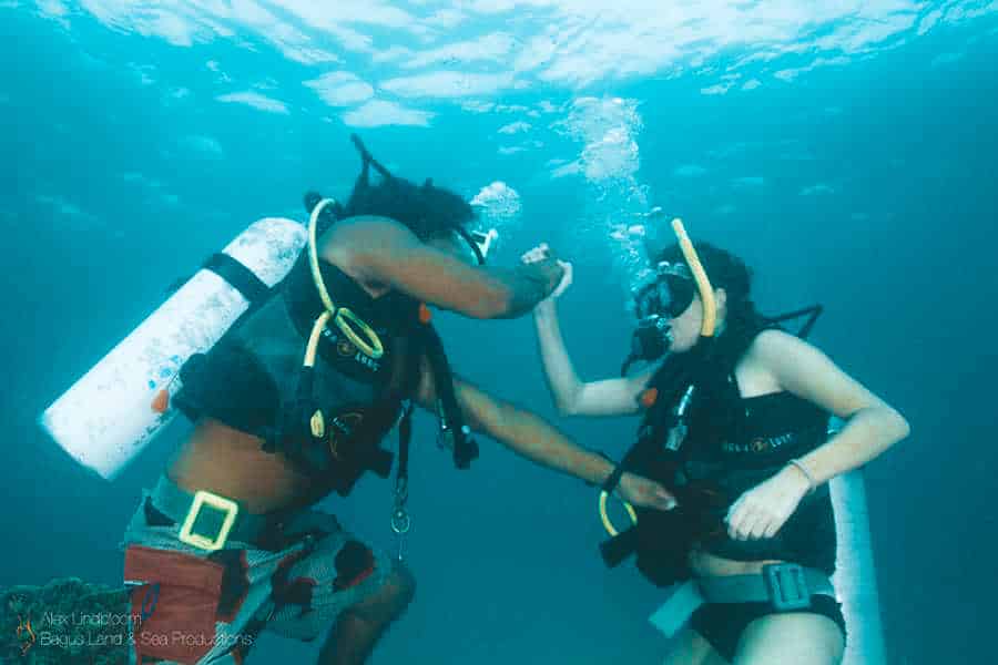 Diving Bocas del Toro