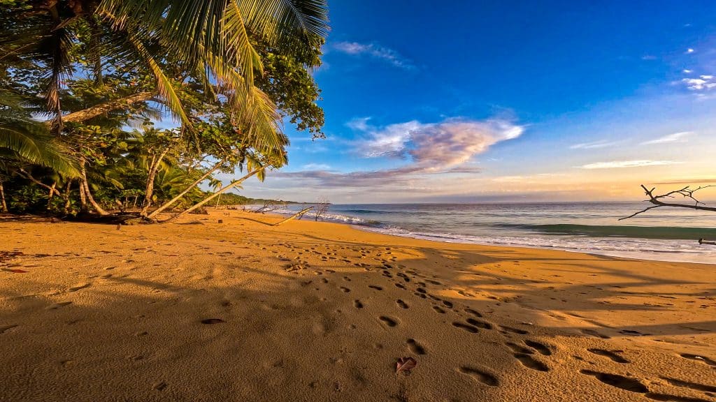 Bluff Beach, Isla Colon