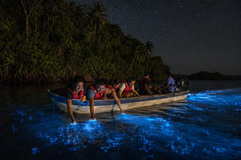 Bioluminescence TourBocas del Toro