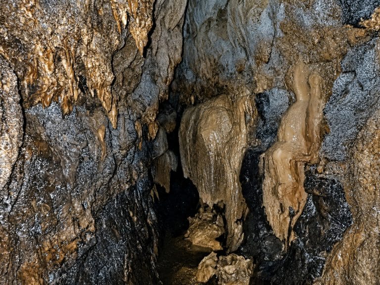 Nivida Bat Cave TourBocas del Toro