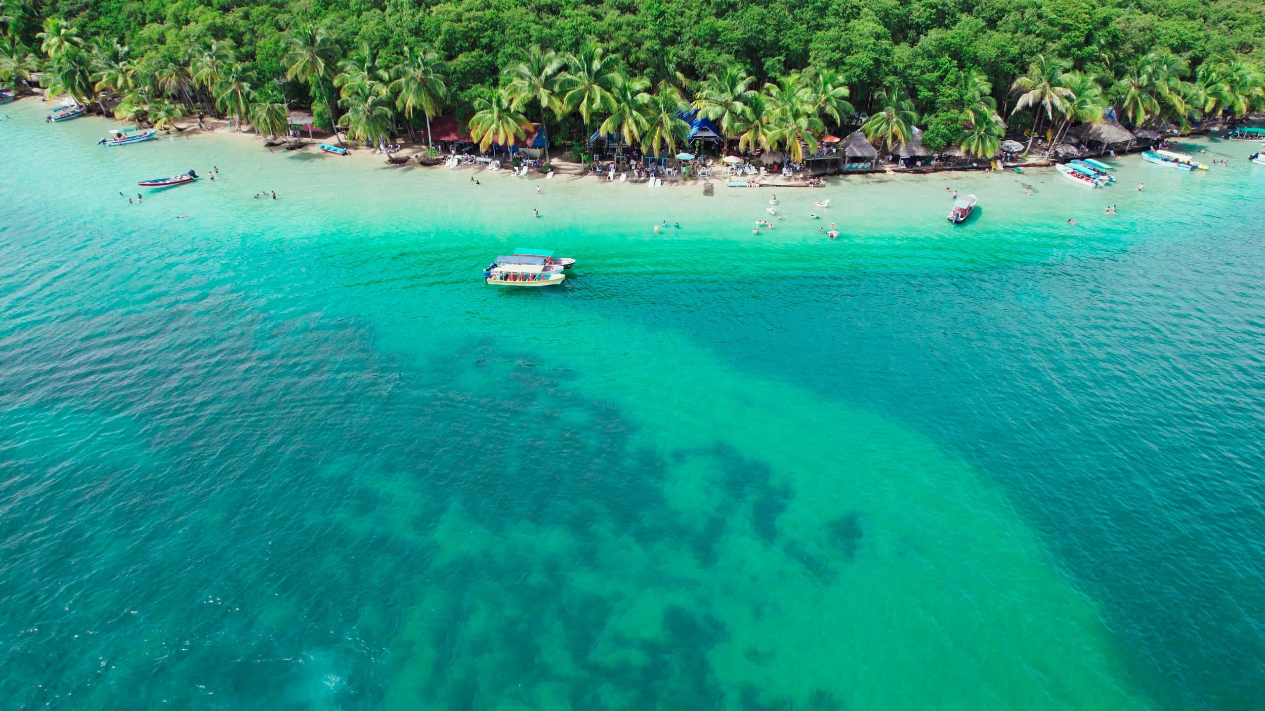 Tour a Playa Estrella, Boca del Drago e Isla PájarosBocas del Toro